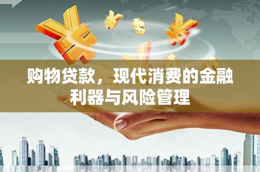 汉阳购物贷款，现代消费的金融利器与风险管理
