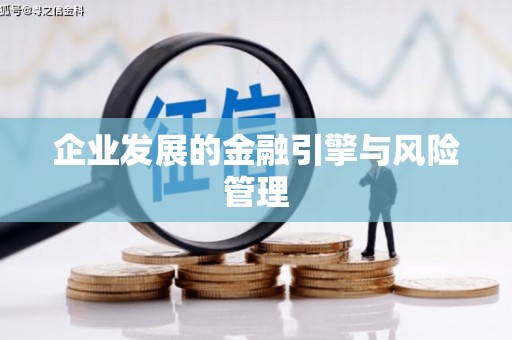 凤台企业发展的金融引擎与风险管理
