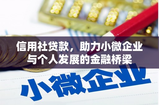 杂多信用社贷款，助力小微企业与个人发展的金融桥梁