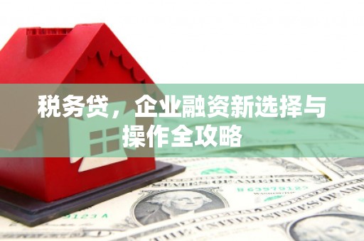 崇左税务贷，企业融资新选择与操作全攻略