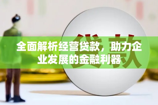 龙陵全面解析经营贷款，助力企业发展的金融利器