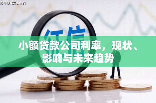 余干小额贷款公司利率，现状、影响与未来趋势