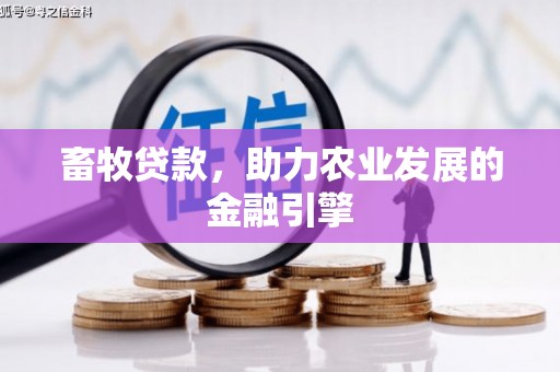 北市畜牧贷款，助力农业发展的金融引擎