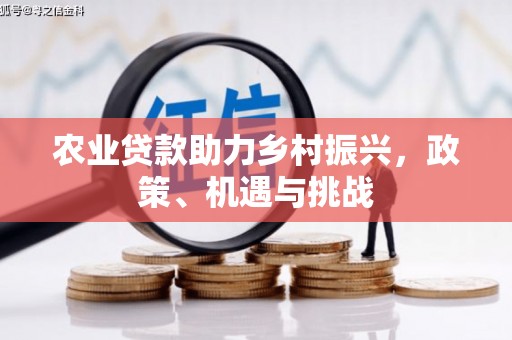 乐亭农业贷款助力乡村振兴，政策、机遇与挑战
