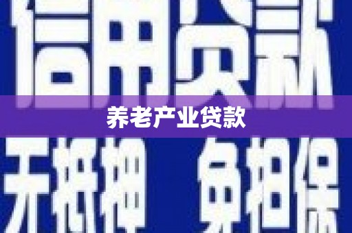 舞阳养老产业贷款