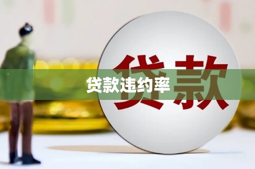 贵溪贷款违约率