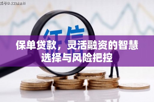 灌阳保单贷款，灵活融资的智慧选择与风险把控