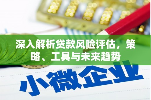 阜康深入解析贷款风险评估，策略、工具与未来趋势