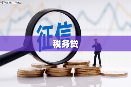 阳朔税务贷
