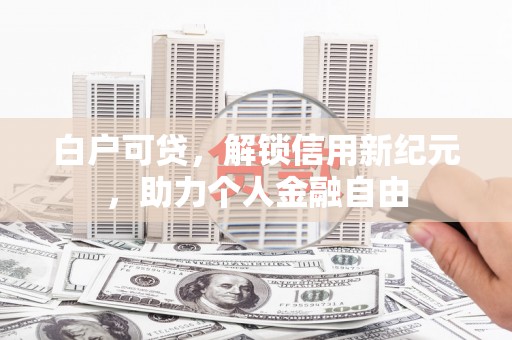 新田白户可贷，解锁信用新纪元，助力个人金融自由
