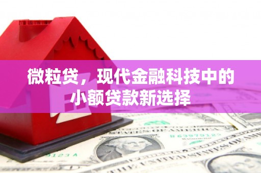信州微粒贷，现代金融科技中的小额贷款新选择