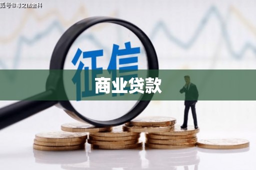 顺河商业贷款