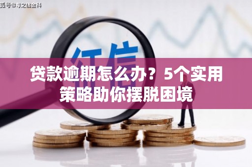 武鸣贷款逾期怎么办？5个实用策略助你摆脱困境