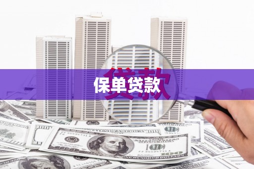 乡城保单贷款