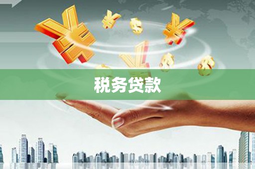 茂县税务贷款