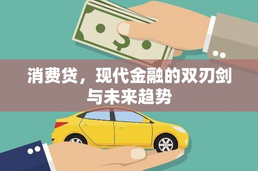 汝阳消费贷，现代金融的双刃剑与未来趋势