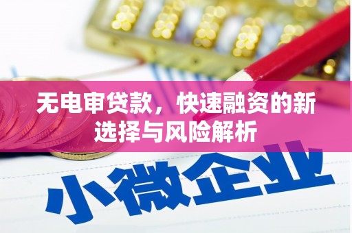 龙岗无电审贷款，快速融资的新选择与风险解析