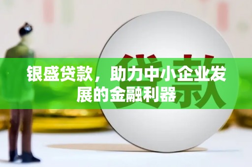南海银盛贷款，助力中小企业发展的金融利器