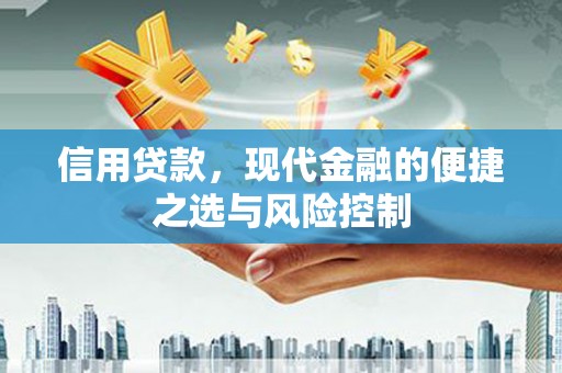 稷山信用贷款，现代金融的便捷之选与风险控制
