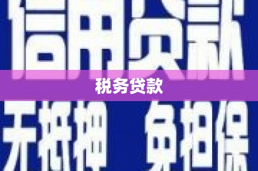 江东税务贷款