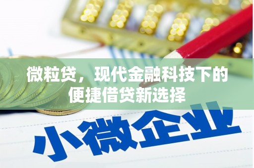 大丰微粒贷，现代金融科技下的便捷借贷新选择