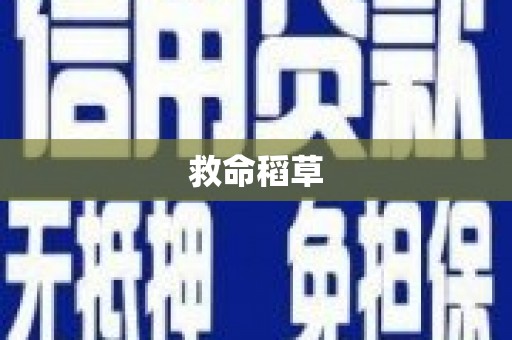 西吉救命稻草