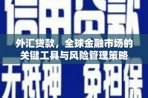 吴川外汇贷款，全球金融市场的关键工具与风险管理策略