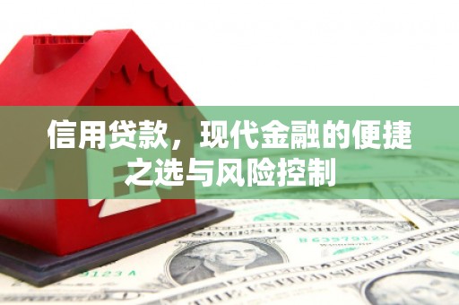 平南信用贷款，现代金融的便捷之选与风险控制
