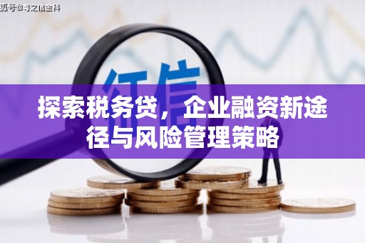 富顺探索税务贷，企业融资新途径与风险管理策略
