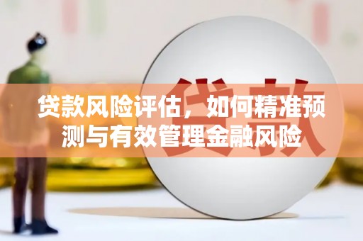 肥乡贷款风险评估，如何精准预测与有效管理金融风险