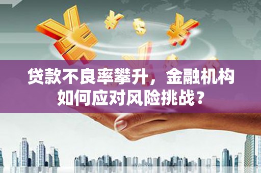 沙鹿贷款不良率攀升，金融机构如何应对风险挑战？