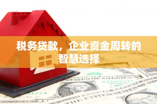 盐城税务贷款，企业资金周转的智慧选择