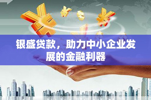 礼县银盛贷款，助力中小企业发展的金融利器