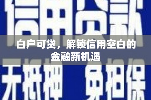 乐东白户可贷，解锁信用空白的金融新机遇