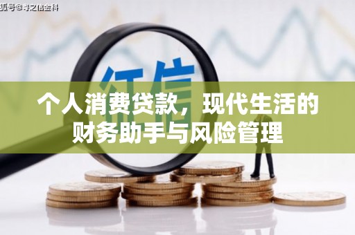 会理个人消费贷款，现代生活的财务助手与风险管理