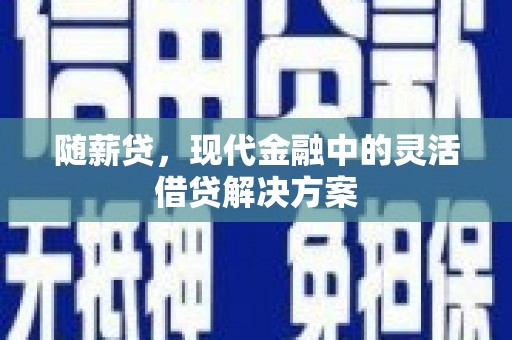 漯河随薪贷，现代金融中的灵活借贷解决方案