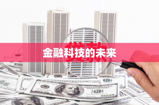 安定金融科技的未来