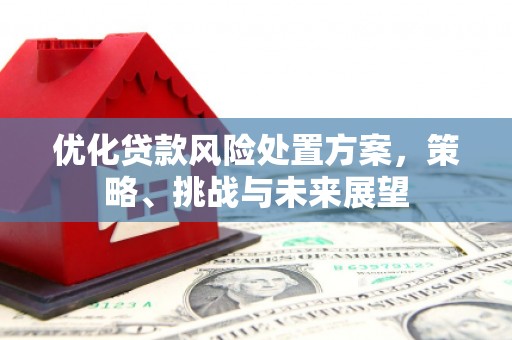 缙云优化贷款风险处置方案，策略、挑战与未来展望