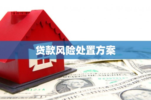 太白贷款风险处置方案