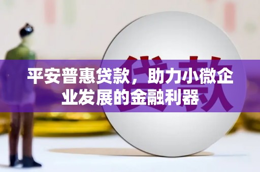 广东平安普惠贷款，助力小微企业发展的金融利器