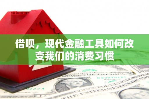 贵州借呗，现代金融工具如何改变我们的消费习惯
