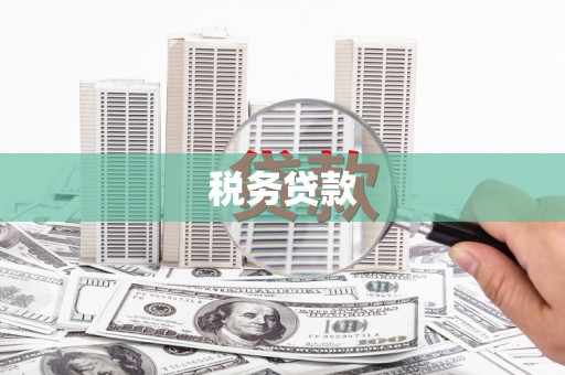 塔什库尔干塔吉克税务贷款