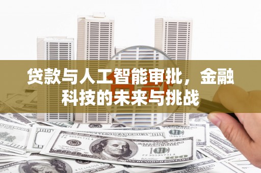乳源贷款与人工智能审批，金融科技的未来与挑战