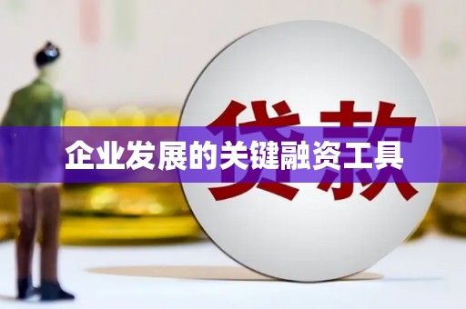 大寮企业发展的关键融资工具