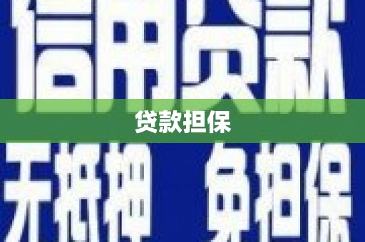 双柏贷款担保