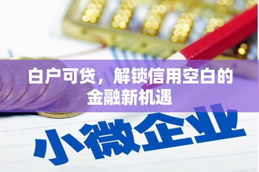美兰白户可贷，解锁信用空白的金融新机遇