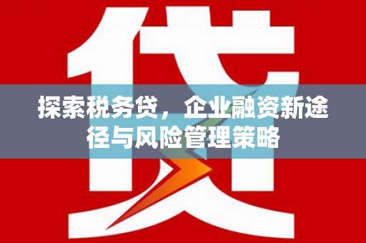 铜梁探索税务贷，企业融资新途径与风险管理策略