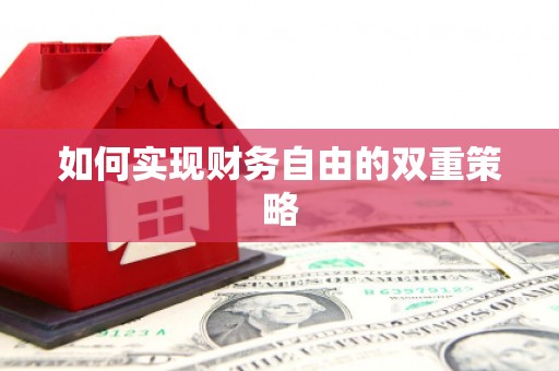 瑞穗如何实现财务自由的双重策略