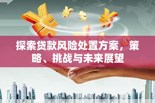涧西探索贷款风险处置方案，策略、挑战与未来展望