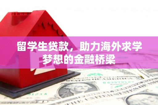 桦南留学生贷款，助力海外求学梦想的金融桥梁